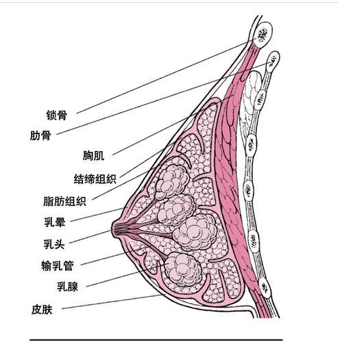 AG真人官方网址